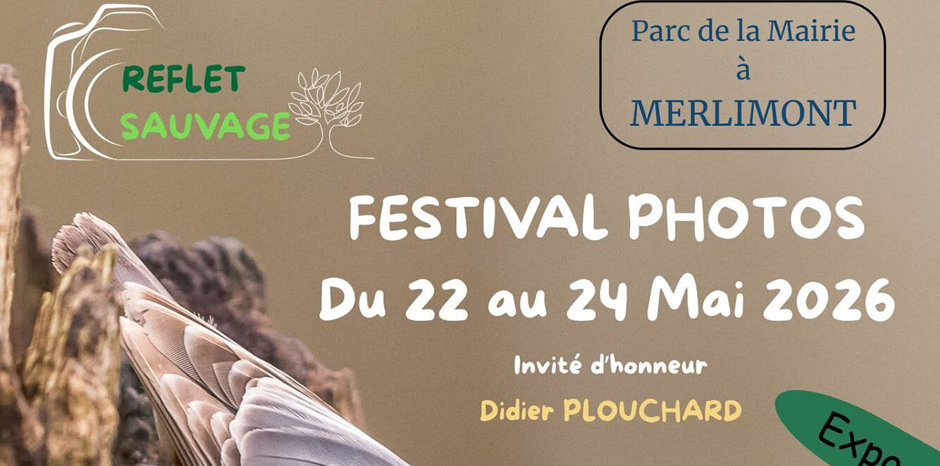 Festival Reflet Sauvage 2026